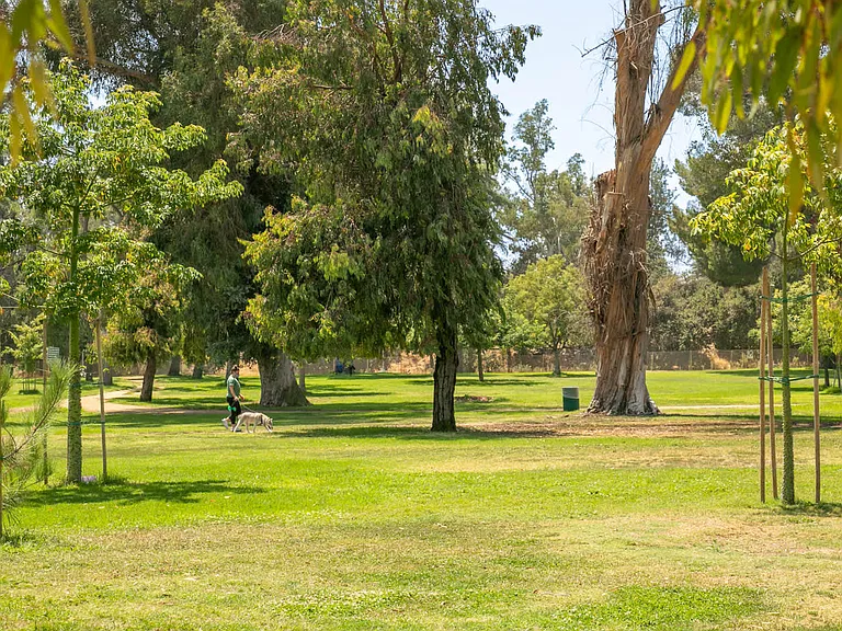 Enjoy the west coast sunshine at the North Hollywood Recreation Center.