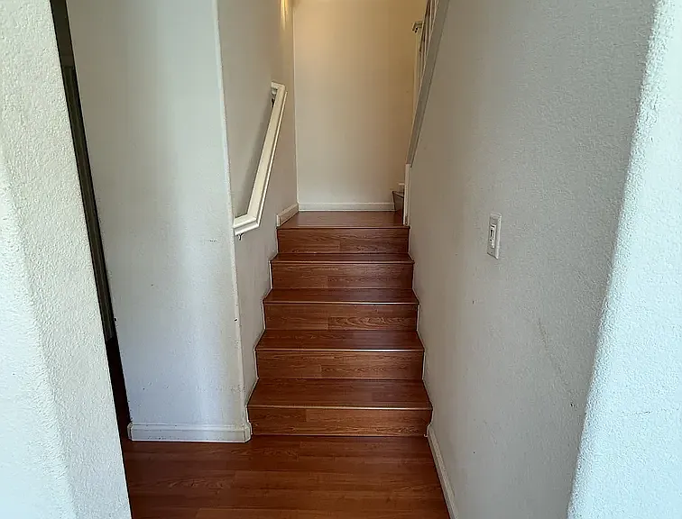 2424 Snowberry Cir — Photo 7