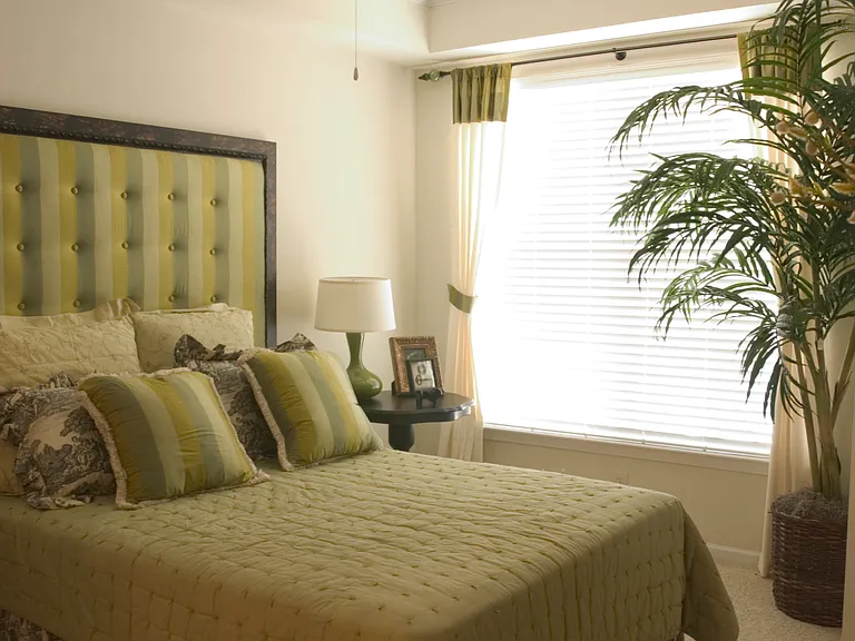 Calypso Bay Apartments — Photo 23