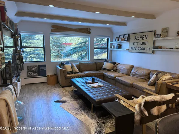 927 Vine St, Aspen, CO 81611