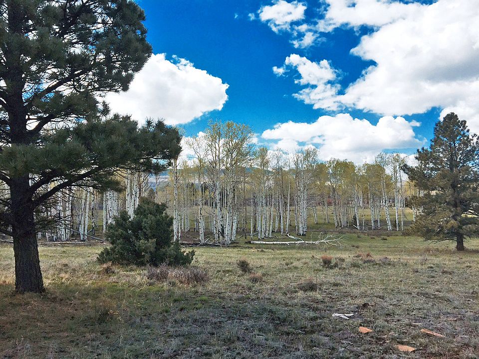 2nd image of Meadows At Lone Cone #Lot 1