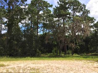 125 Pats Point Ct, Hawthorne, FL 32640