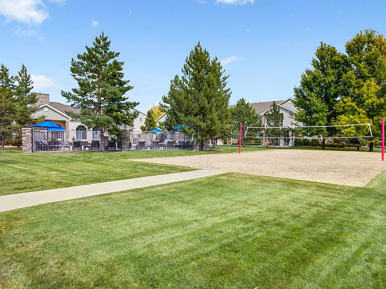 Volleyball Court