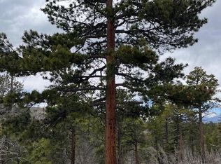 Lot 513 Leslie Loop, Fort Garland, CO 81133