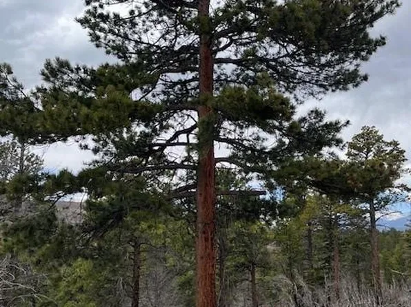 Lot 513 Leslie Loop, Fort Garland, CO 81133