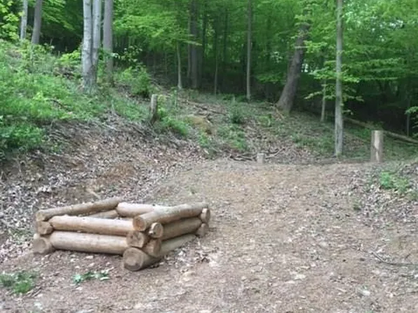 299 Woodbine Farms Rd, Scott Depot, WV 25560