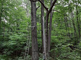 Schmeid Rd, Lakeview, MI 48850