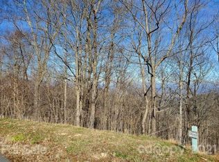 215 View Ridge Pkwy #71 & 72, Leicester, NC 28748