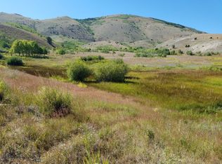 78 Outlaw Trl, Anaconda, MT 59711