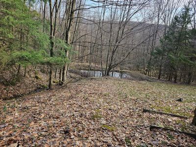 763 Spring Run Rd, Tionesta, PA, 16353