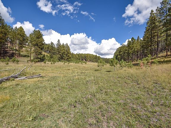 4th image of Jemez Mountains Forest Rd #10