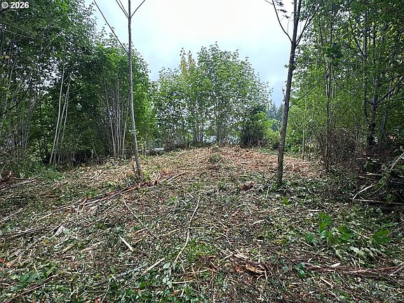 2nd image of Bear Rd