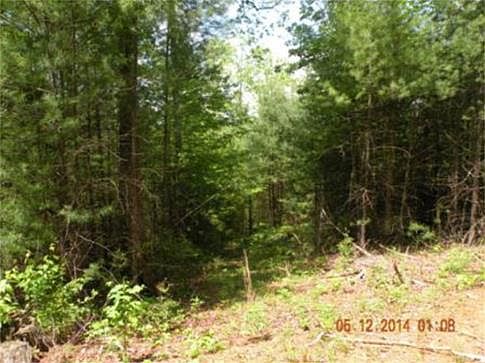 2nd image of Bell Hill Road