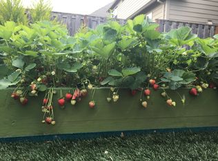 6042 NE Whitewood Dr, Hillsboro, OR