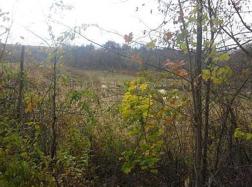 1st image of 0 Pine Hill Rd