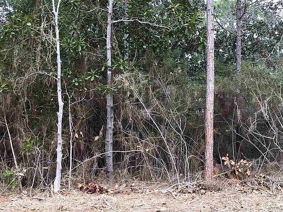 5th image of 0 Laurel Dr