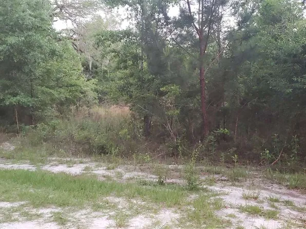 X McPhaul Rd #0, Crawfordville, FL 32327