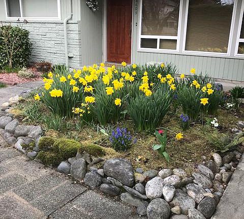 2nd image of 18605 67th Ave W