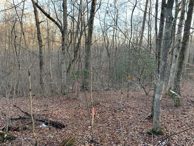 0 Mellisa Rock Rd, Tracy City, TN, 37387