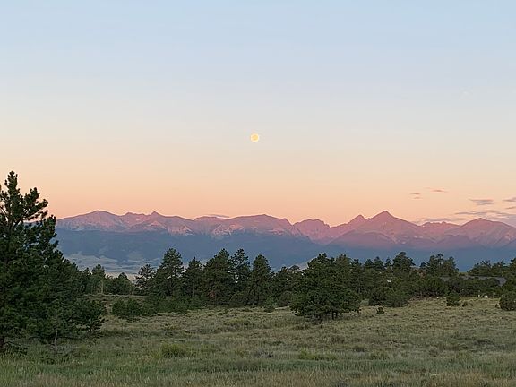 View from meadow