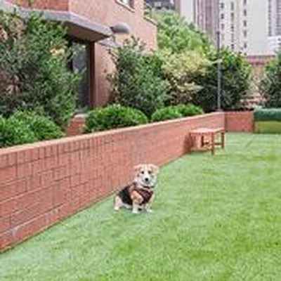 Rented by Douglas Elliman | media 25