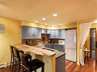 205 E Durant Ave APT 1H, Aspen, CO 81611