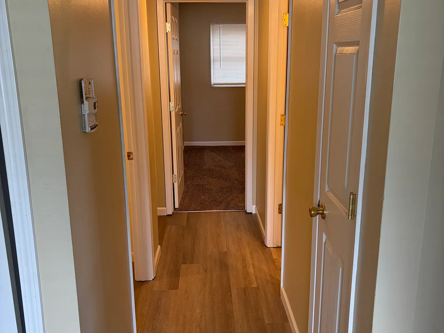 2 bed, 800 sqft, $750 — Photo 3