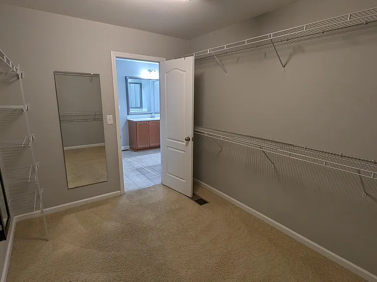 Primary Closet
