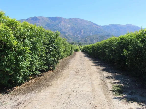 19086 E Telegraph Rd, Santa Paula, CA 93060