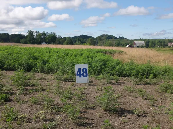 48 Bull Lot Run, East Bernstadt, KY 40729