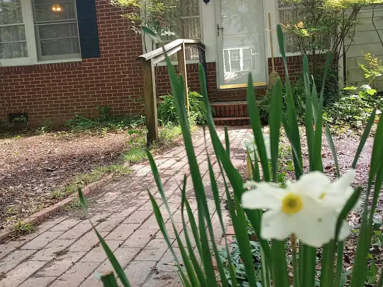 105 Elm St — Photo 28