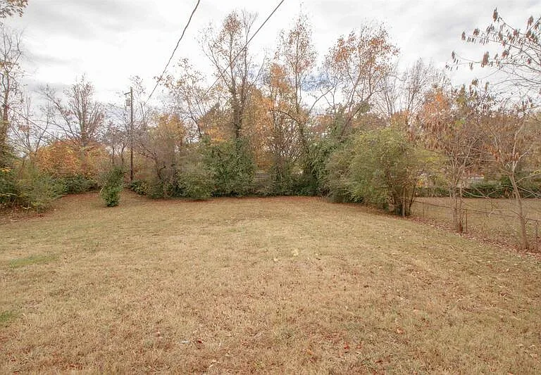 402 Britton Springs Rd — Photo 15