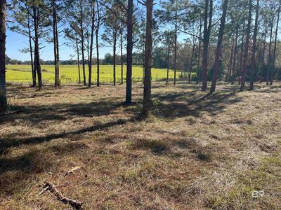 0 Fackler Rd, Loxley, AL, 36551