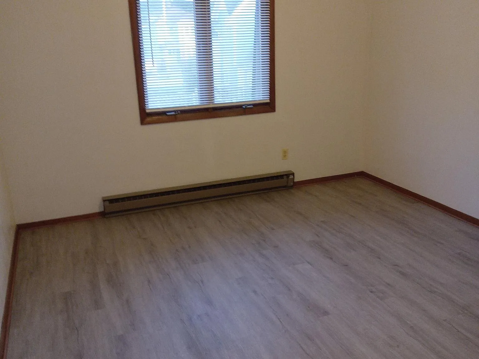 1 bed, 700 sqft, $1,100 — Photo 3