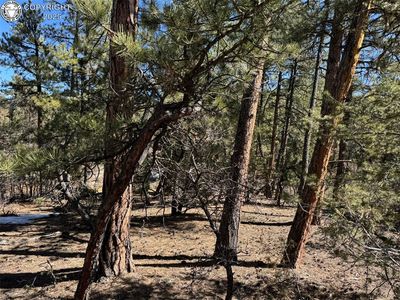211 Bear Ln, Cotopaxi, CO, 81223