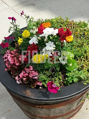 Rented by Fiddler Realty | media 90