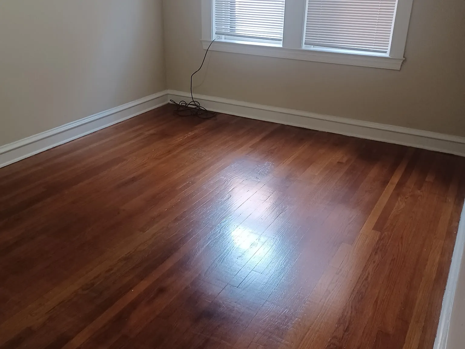 1 bed, 720 sqft, $1,450 — Photo 2