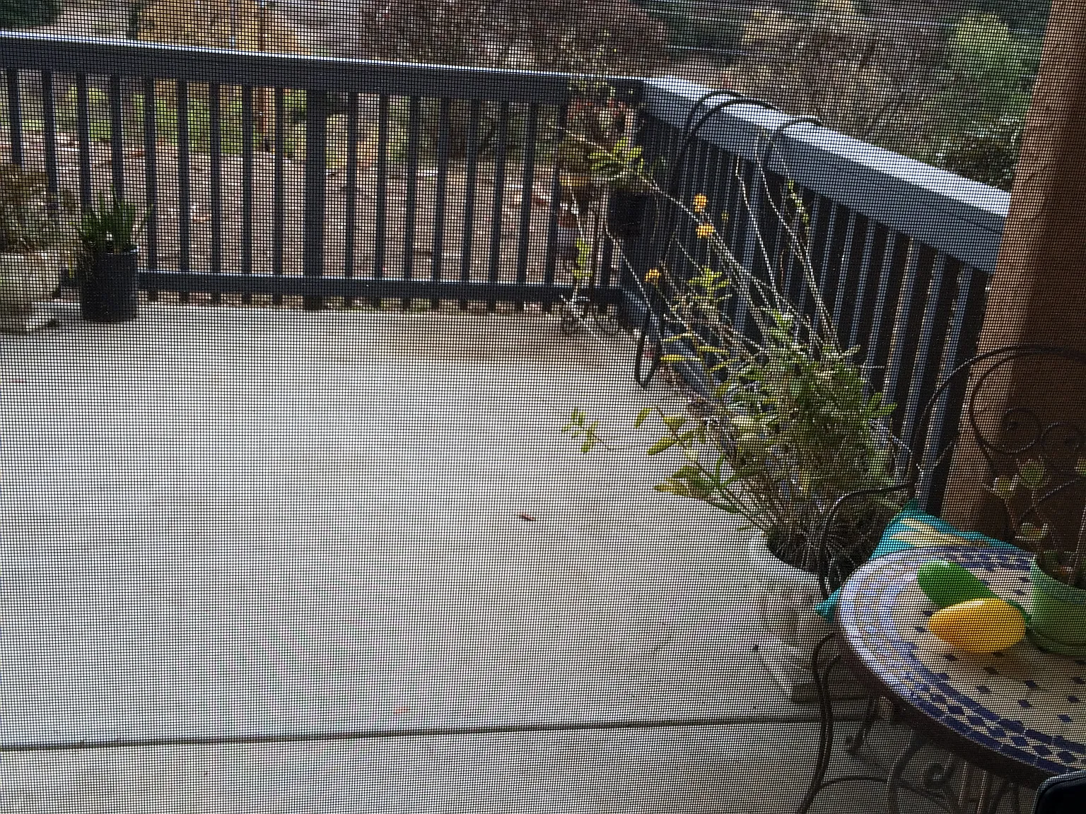 1 bed, 850 sqft, $1,600 — Photo 3