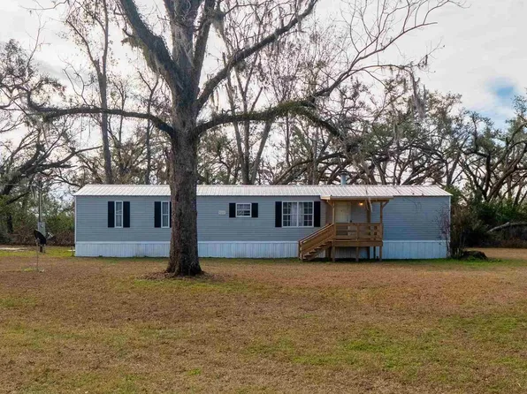 324 NE Delphinium Dr, Madison, FL 32340