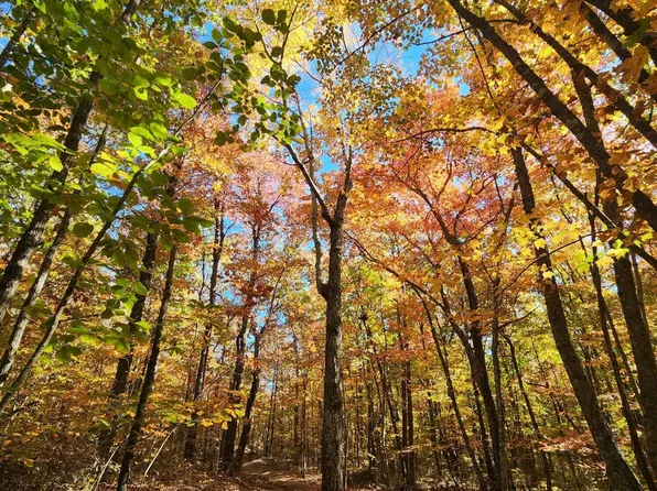 19 Higgenbottom Tpke #20, Altamont, TN 37301