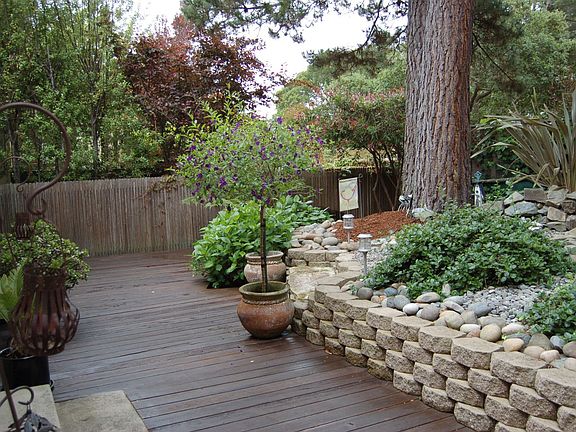 Lower Trail Backyard