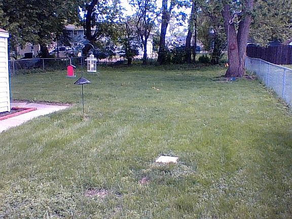 Back yard