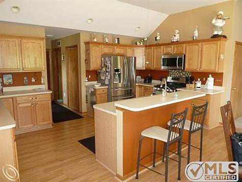 Copy of P1030701.JPG