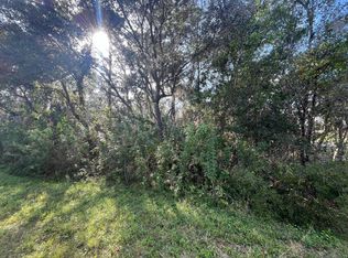 2312 Mink Rd, Avon Park, FL 33825