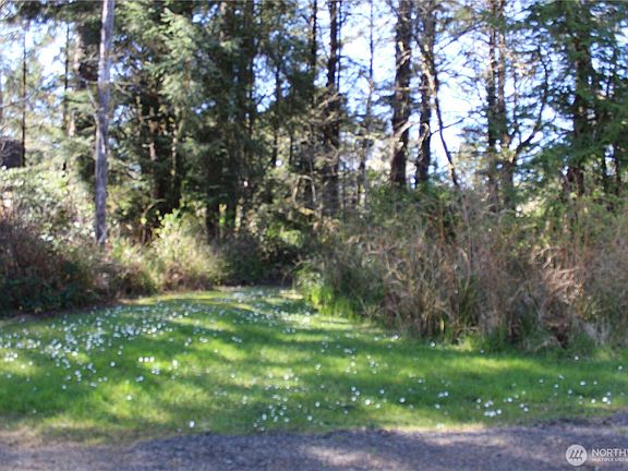 3rd image of 39 Dolphin Ln.