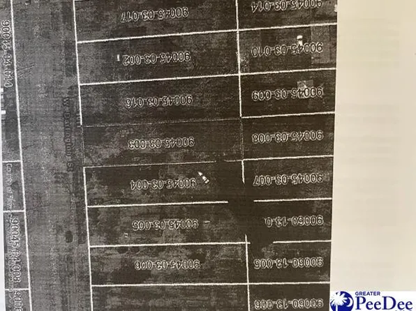 1013 W Darlington St, Florence, SC 29501