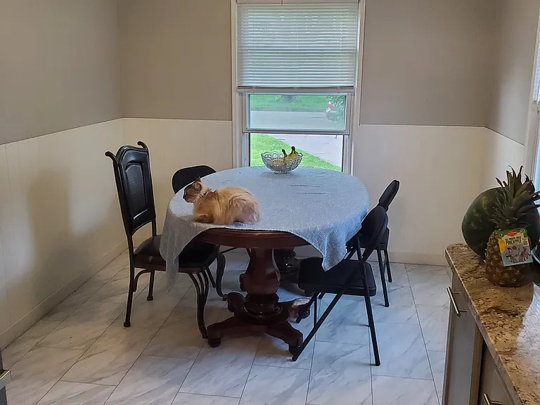45 Seminole Way — Photo 2