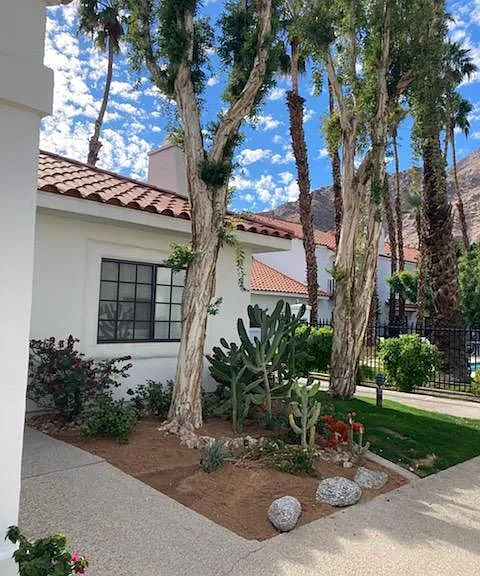 77313 Avenida Fernando — Photo 16