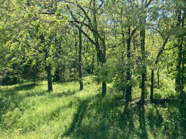 0 Burr Oak Rd, Carthage, MO 64836