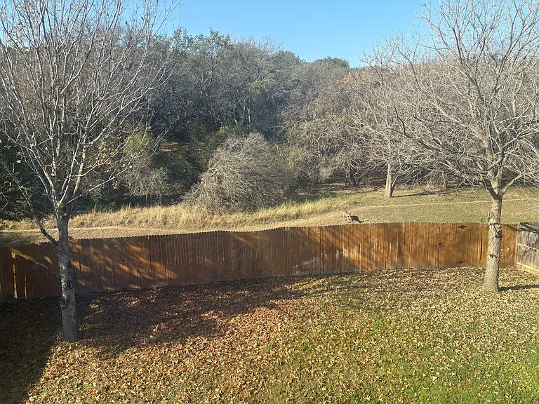10410 Elizabeth Ct — Photo 24